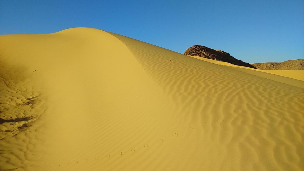 Hotel Mozoon Camp à Wadi Rum Extérieur photo