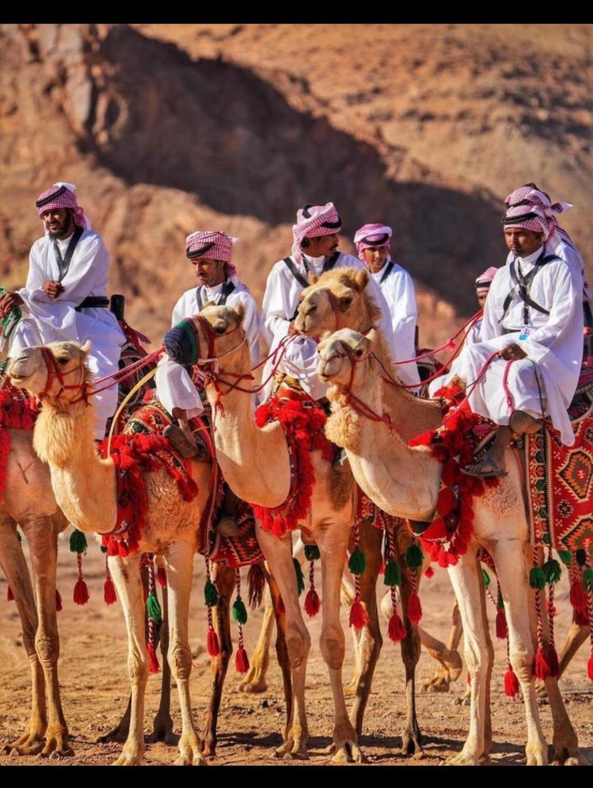 Hotel Mozoon Camp à Wadi Rum Extérieur photo